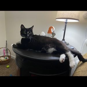 Meet your Posher, Stephanie